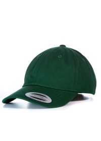 Dad hat baseball strap back